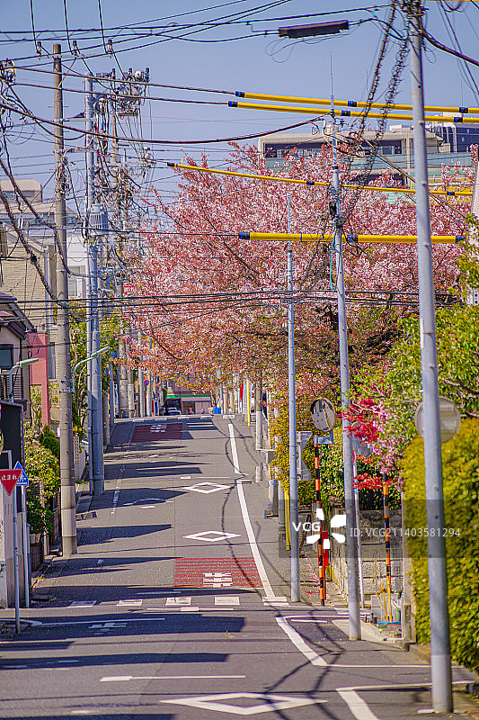 空旷的道路，树木掩映着天空图片素材