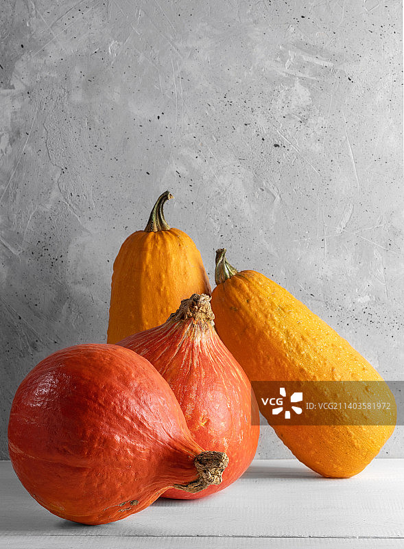 秋收、万圣节或感恩节概念，混凝土背景上的南瓜（竖版照片，俄罗斯）图片素材