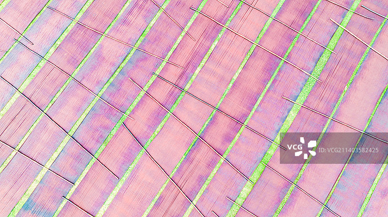 航拍广东佛山顺德香云纱图片素材