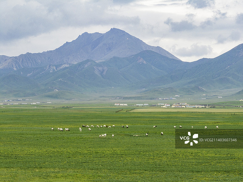 航拍青海祁连山大草原图片素材