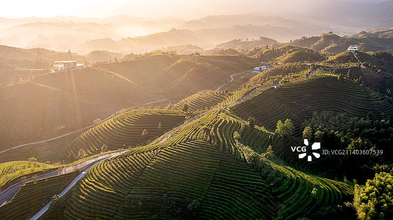 茶山日出图片素材
