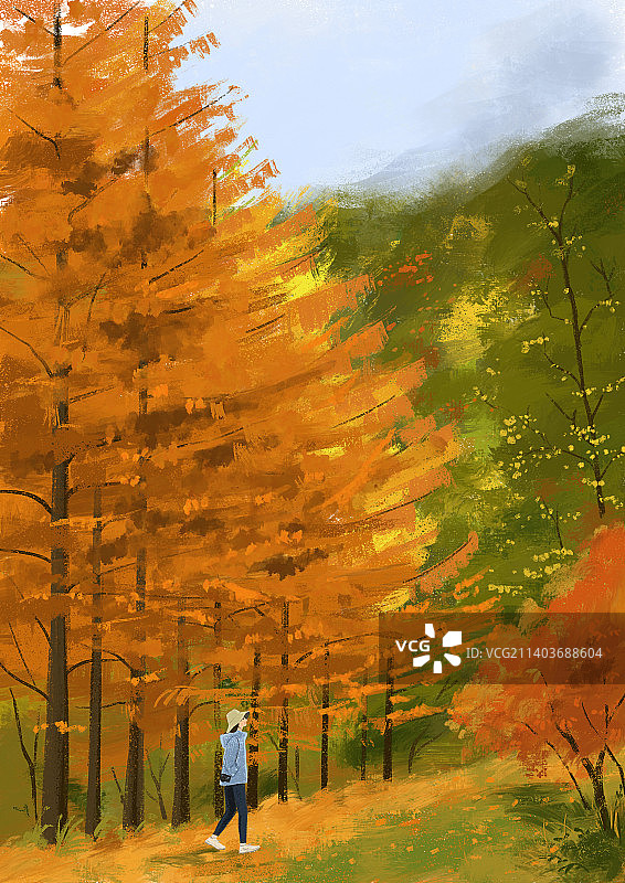 秋天水杉红叶树林徒步旅行户外手绘插画自然风景红叶图片素材