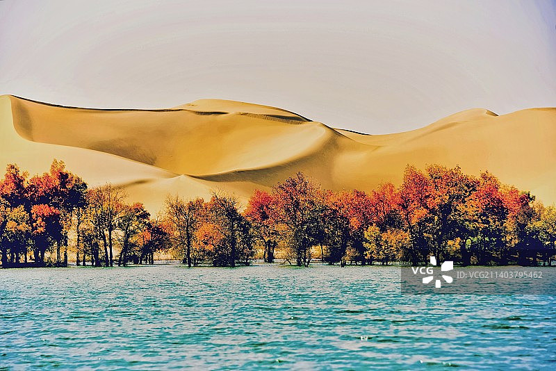 金秋十月沙漠胡杨河流图片素材