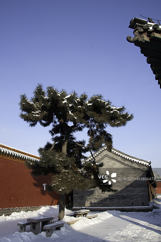 冬天辽宁沈阳故宫雪景风光图片素材