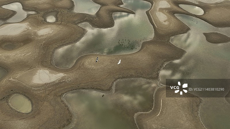 航拍露出水面沙滩图片素材