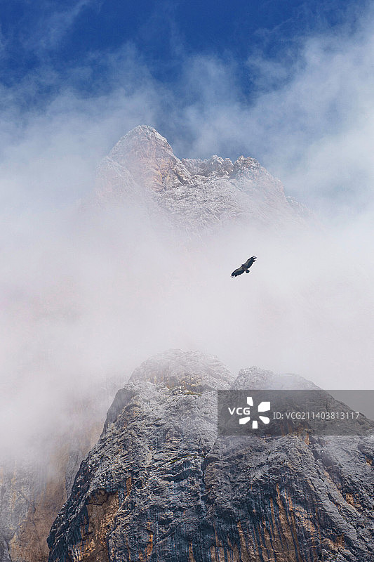 甘南 扎尕那 飞翔的雄鹰图片素材