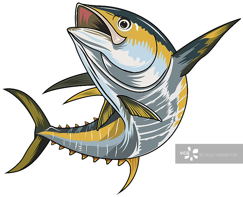 钓金枪鱼模板图片素材