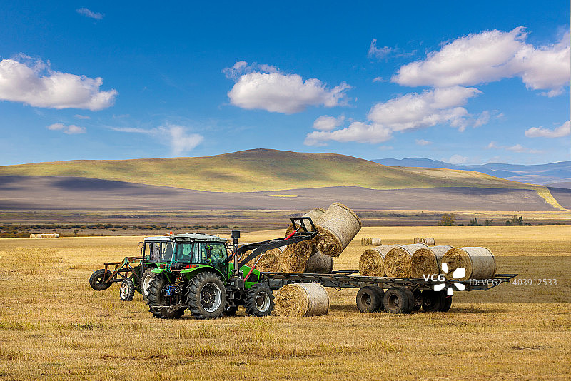 蓝天下的金色草垛图片素材