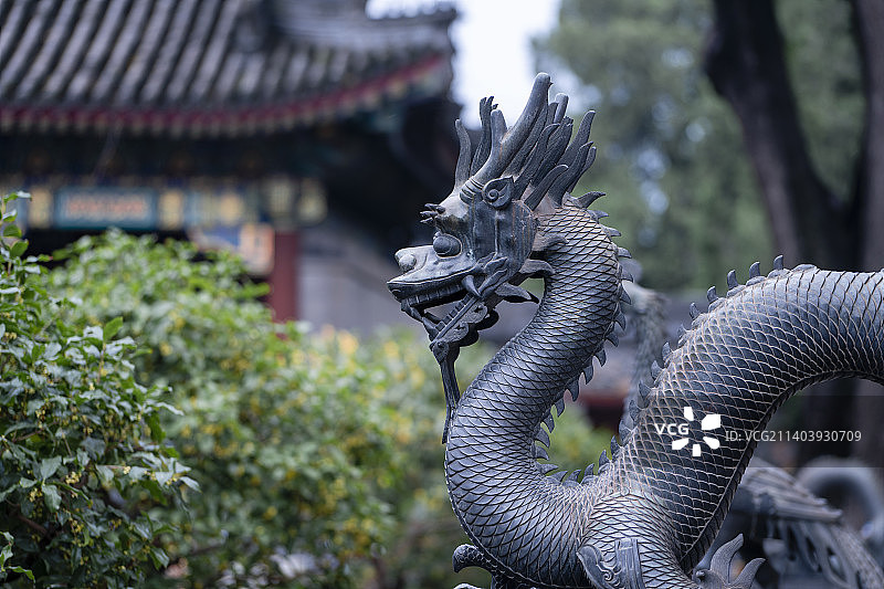 北京颐和园仁寿殿前龙凤雕塑图片素材