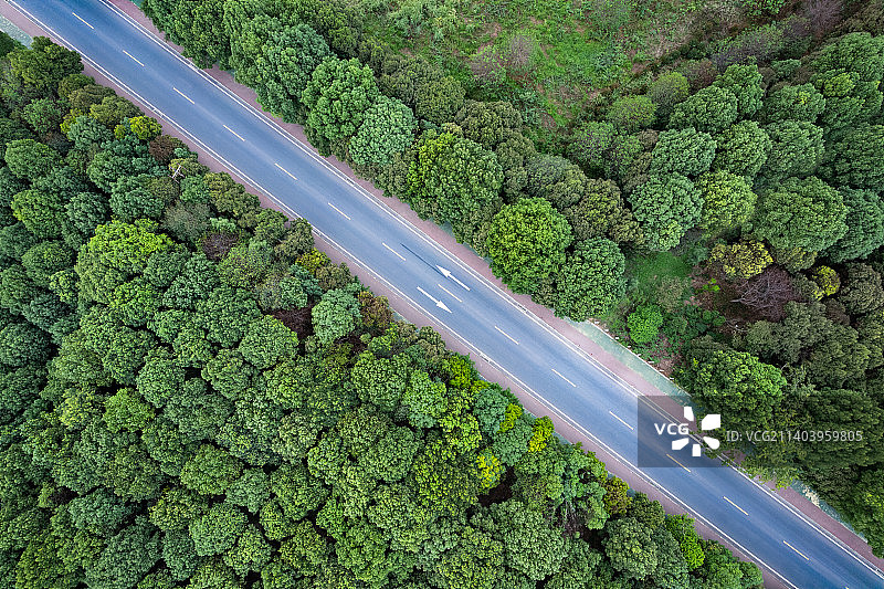 森林里的公路图片素材
