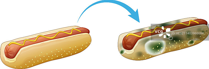 发霉的不可食用面包图片素材