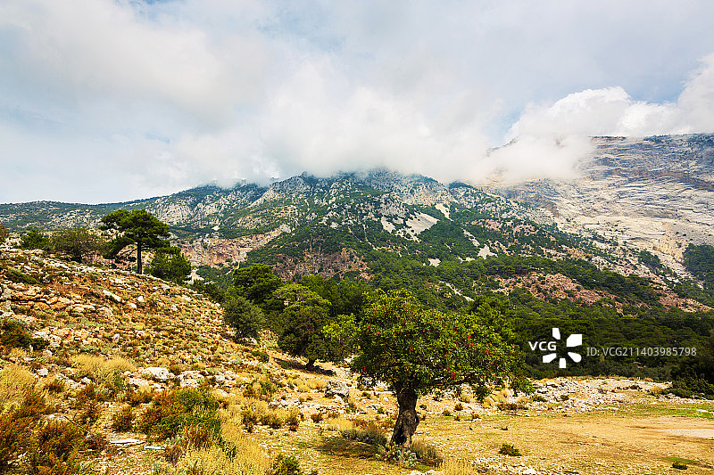土耳其费特希耶利西亚之路图片素材