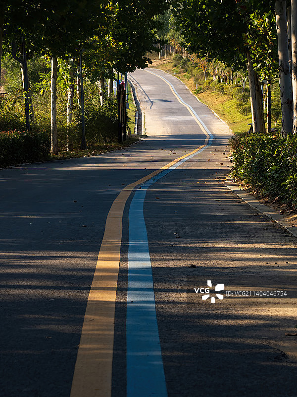 背景 素材 公园里前进的道路图片素材
