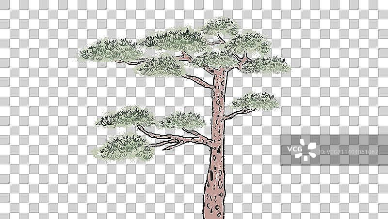 中国传统中国风五棵松松树诗意水墨画元素图片素材