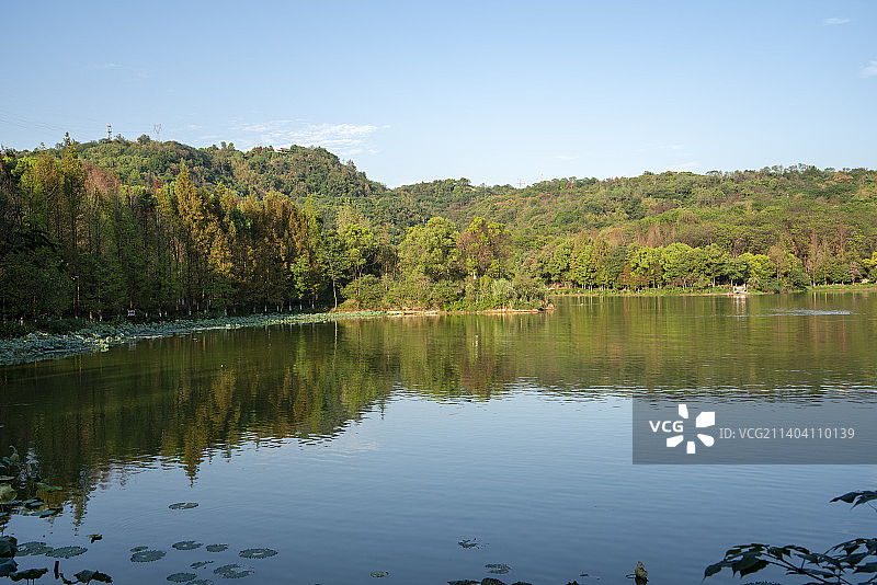 重庆照母山植物园人和水库自然风光美景图片素材