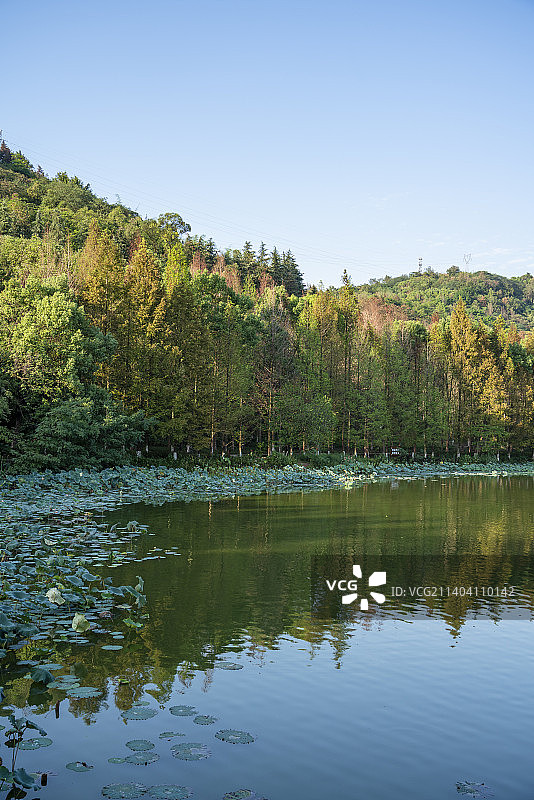 重庆照母山植物园人和水库自然风光美景图片素材