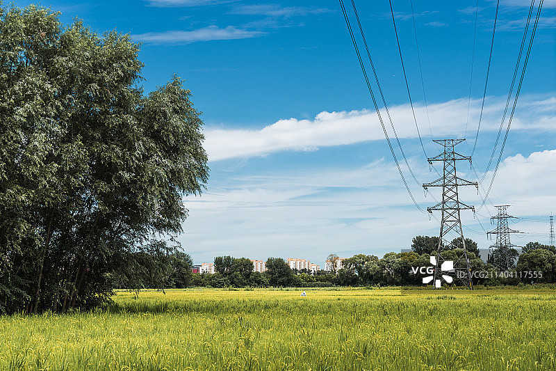 北方的稻田风光图片素材