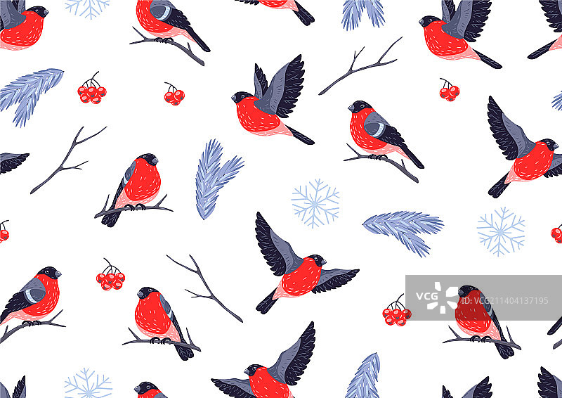 带有红腹灰雀的冬季无缝图案图片素材