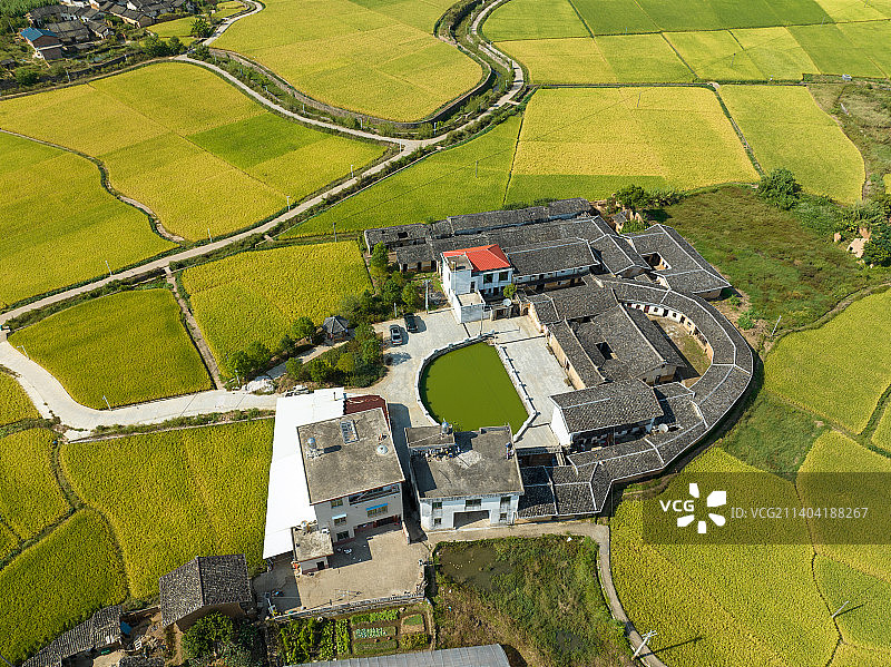 无人机视角，金色秋天畲族古建筑围龙屋图片素材