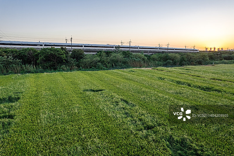 高铁急速驶过稻田图片素材