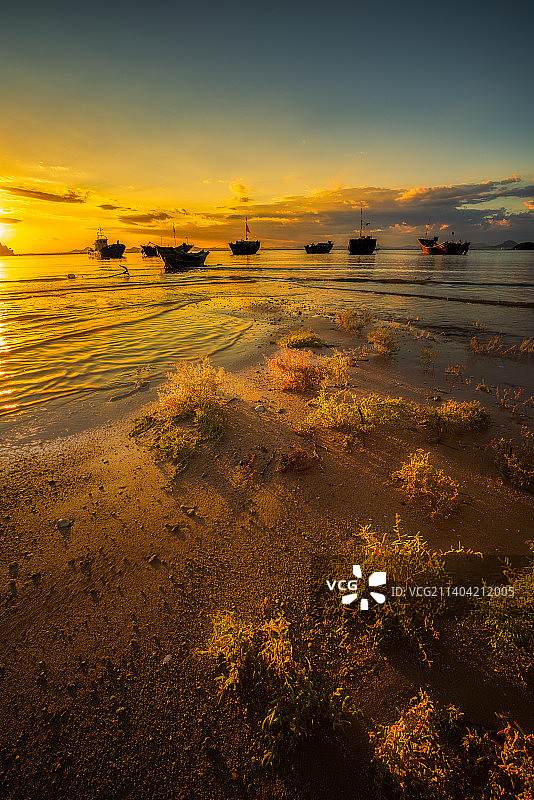 夕阳映照红草滩图片素材