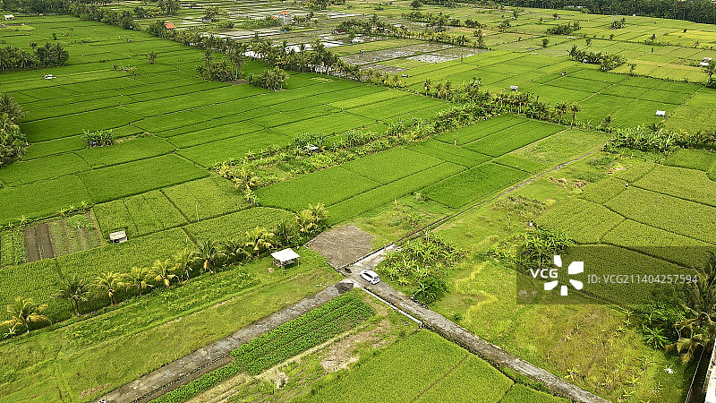农业田地的高角度视图图片素材