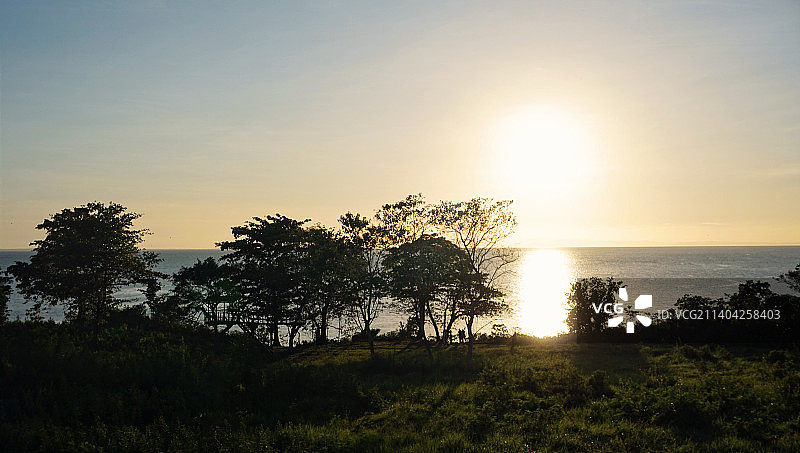 日落时分菲律宾莱特省伊莎贝尔的树木轮廓图片素材