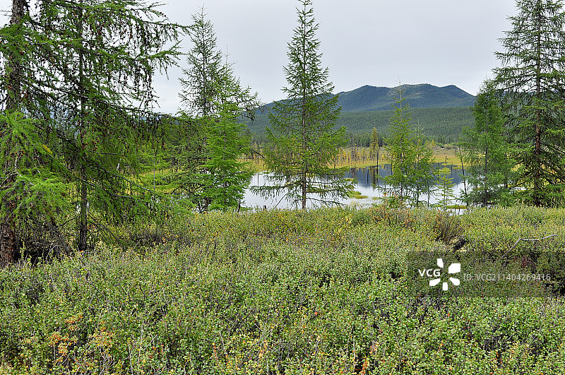 天空映衬下的湖泊风景，俄罗斯图片素材