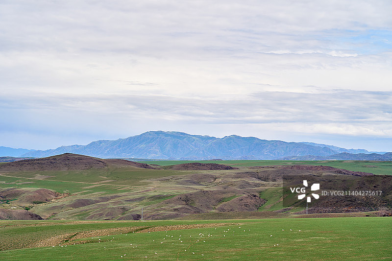 吃草的羊群与山坡地貌风景图片素材