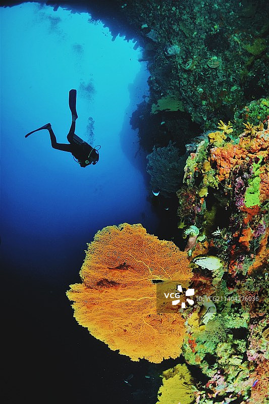 女人在海中水肺潜水图片素材