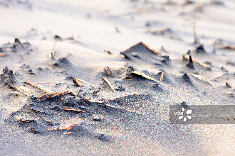 印度奥里萨邦普里海滩日落阳光下的沙海枯萎植物图片素材