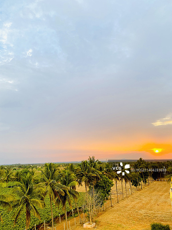 印度卡纳塔克邦班加罗尔日落时分的农田图片素材