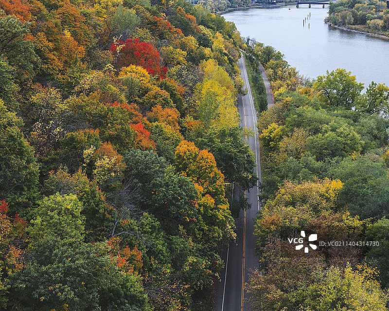 美国明尼苏达州圣保罗秋季森林公路旁的树木高角度景观图片素材