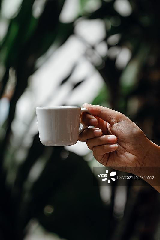 女人拿着咖啡杯的局部照片图片素材