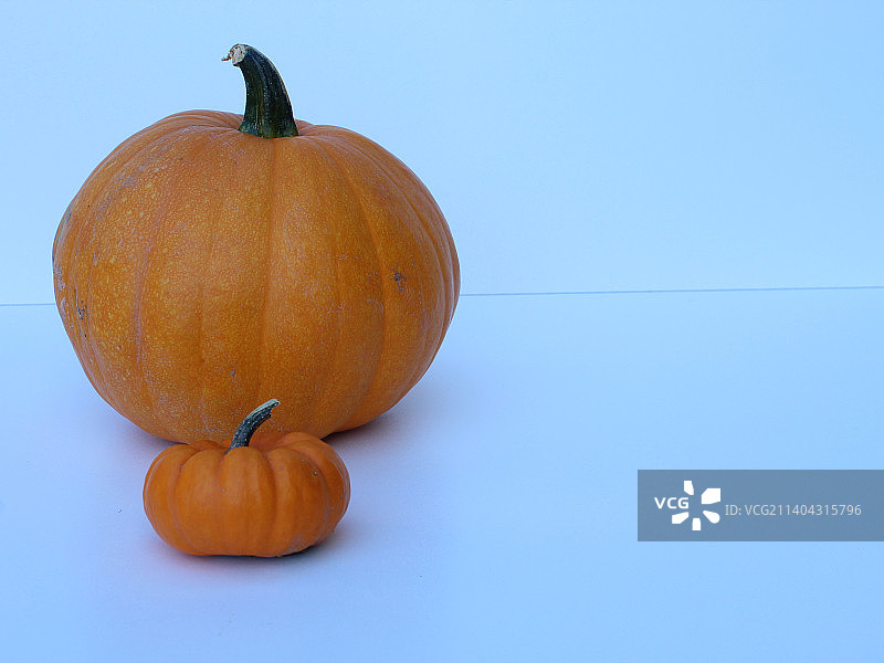 蓝色背景下桌上的南瓜特写图片素材