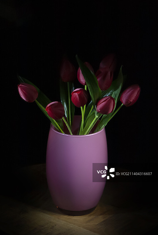 比利时埃克塞尔黑色背景桌上花瓶中粉色花朵特写图片素材