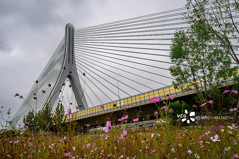 京新上地斜拉桥图片素材
