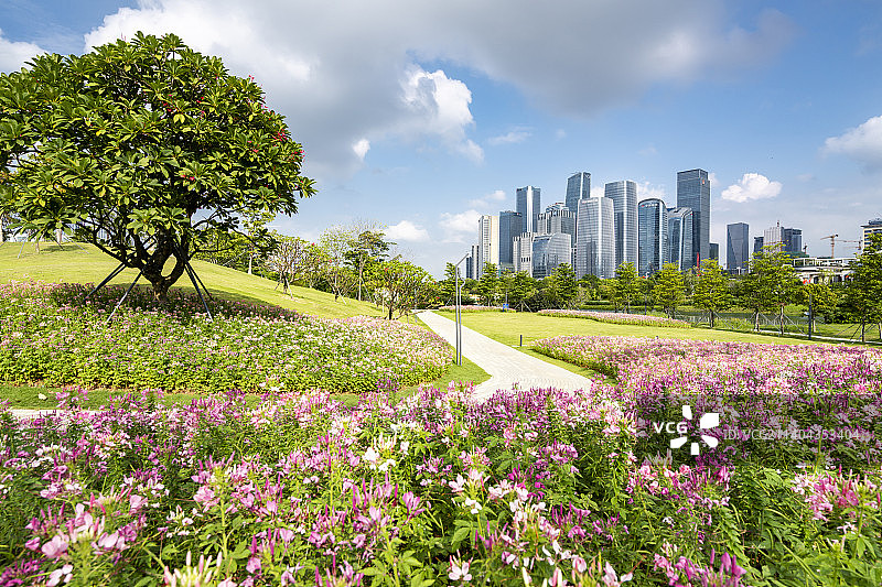 中国广东深圳前海合作区桂湾公园城市风光图片素材