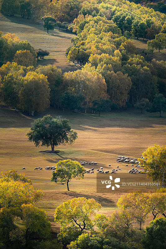 【坝上秋色】图片素材