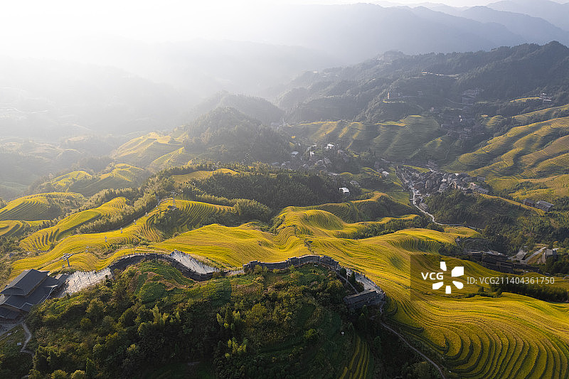 航拍桂林龙脊梯田秋天金色金黄稻田收割季节图片素材