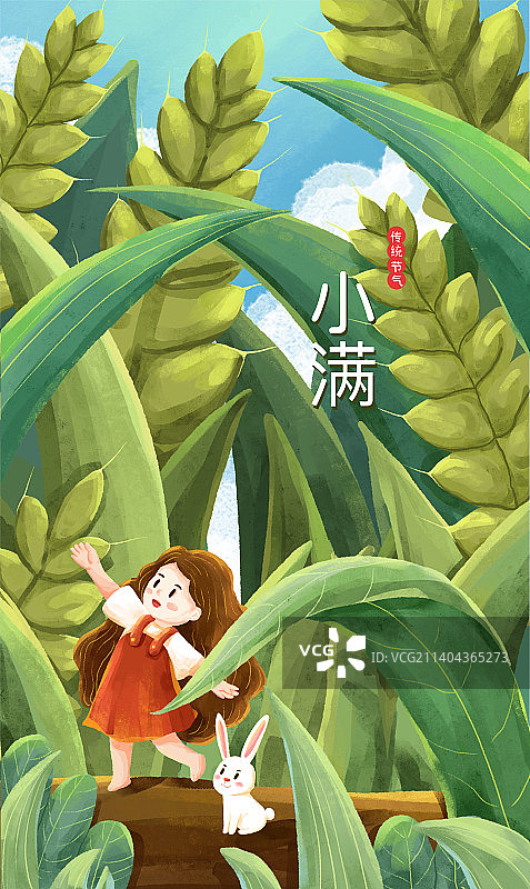 清新风二十四节气小满插画图片素材