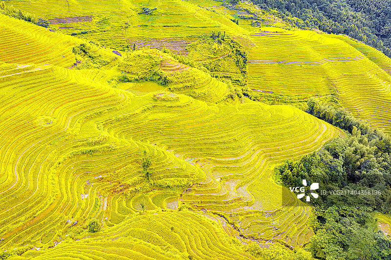 金坑梯田图片素材