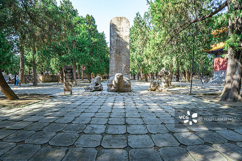 中国山东泰安泰山著名景点，行宫岱庙里的古典式碑刻拍摄主题,背石碑的五岳独尊乌龟赑屃，户外无人图像摄影图片素材