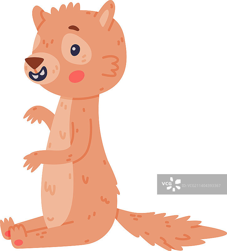 有着漂亮口鼻的可爱小非洲地松鼠图片素材