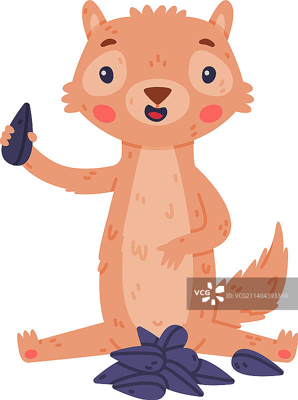 有着漂亮口鼻的可爱小非洲地松鼠图片素材