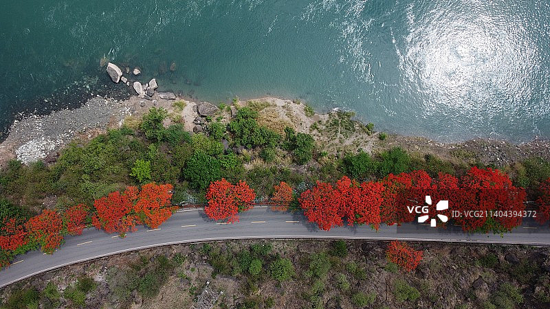 5月的攀枝花，满城的凤凰花，金沙江水的绿和凤凰花的红互相衬托图片素材