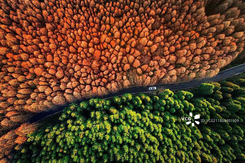 重庆山王坪风景图片素材