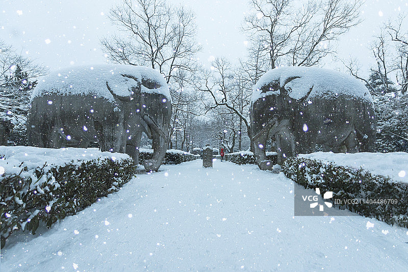 江苏南京钟山风景区明孝陵石像路雪景图片素材
