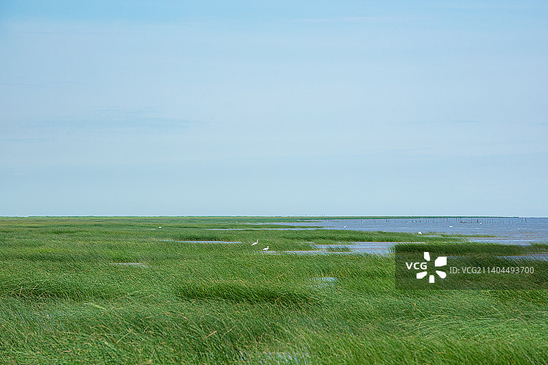 上海市崇明区横沙岛-草原上的河流图片素材
