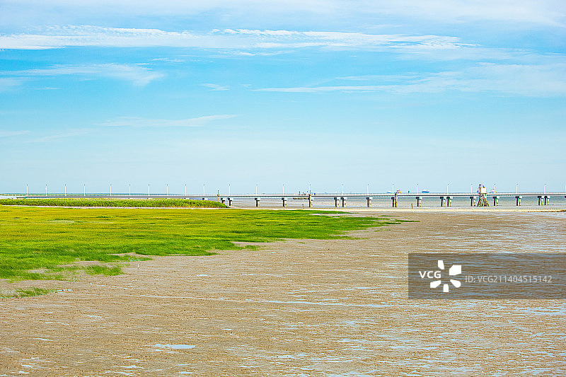上海市崇明区横沙岛-海边湿地景观图片素材